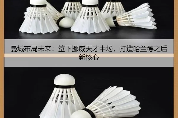 man-cheng-bu-ju-wei-lai-qian-xia-nuo-wei-tian-cai-zhong-chang-da-zao-ha-lan-de-zhi-hou-xin-he-xin-2-613.jpg